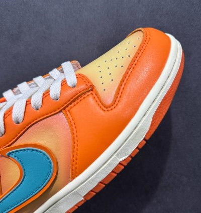 Nk Sb Dunk Low Pro Dv5744-667