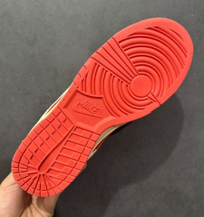Nk Sb Dunk Low Pro Dv5744-166
