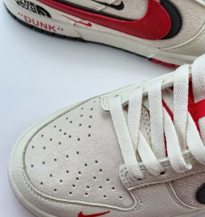 Nike Sb Dunk Low X The North Face Dj2024-127