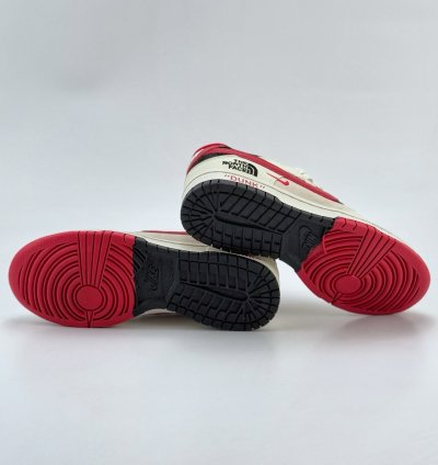 Nike Sb Dunk Low X The North Face Dj2024-127