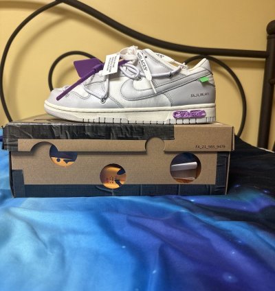 Lot 3 Off White Dunks