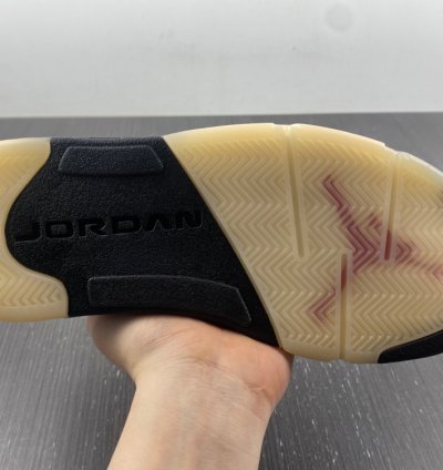 Nike Air Jordan 5 Retro Dunk On Mars