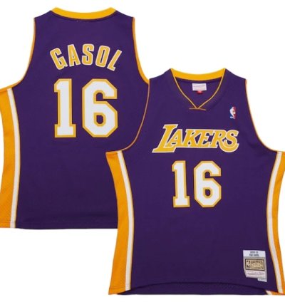 Pau Gasol Los Angeles Lakers 200910 Hardwood Classics Swingman Jersey - Purple