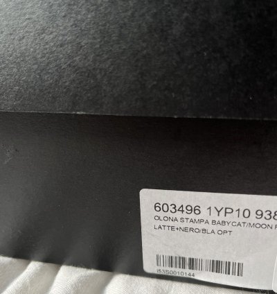 Saint Laurent Babycat Sneaker
