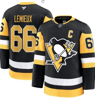 Mens Mario Lemieux Jersey 66 Pittsburgh Penguins 2025 Premium All Stitched