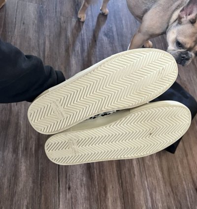 Venice Babycat Skates Low