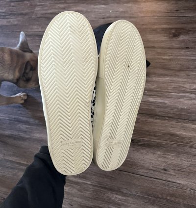 Venice Babycat Skates Low