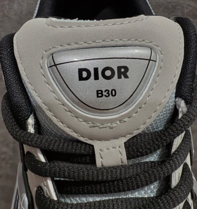 Dior B30 Low-top Sneakers grey Anthacite