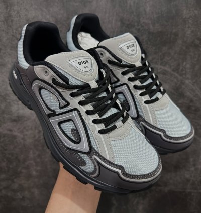 Dior B30 Low-top Sneakers grey Anthacite