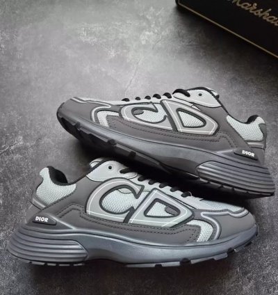 Dior B30 Low-top Sneakers grey Anthacite