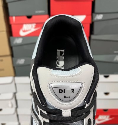 Dior B30 Low-top Sneakers grey Anthacite