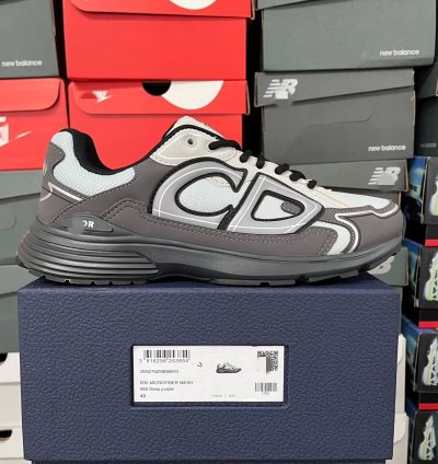 Dior B30 Low-top Sneakers grey Anthacite