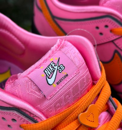 Nike Sb Dunk Low The Powerpuff Girls Pink Blossom Fd2631-6009