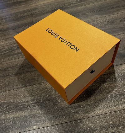 Brand New Louis Vuitton Runaway Sneakers