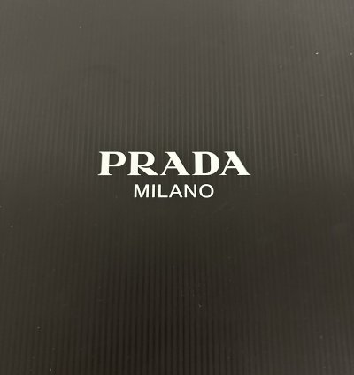 Cloudburst Thunder Prada Sneaker