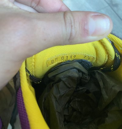 Louis Vuitton Hiking Sneaker