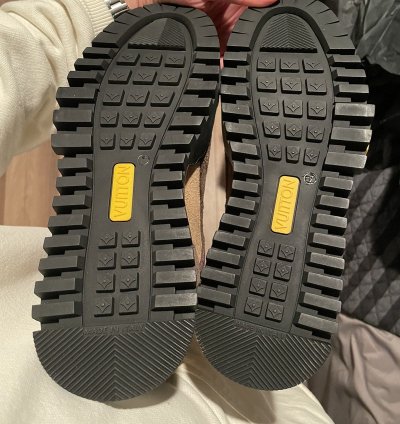 Louis Vuitton Hiking Sneaker