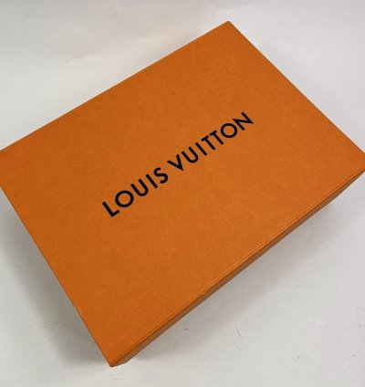 Louis Vuitton Lucien Clark Sneakers