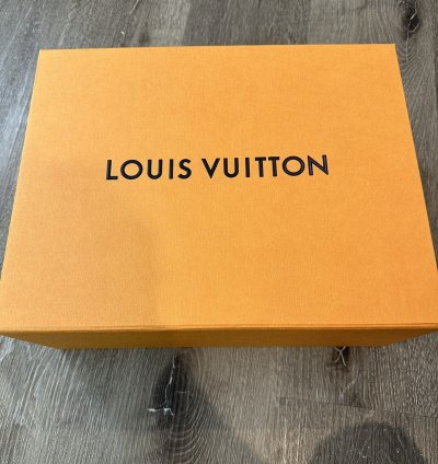 Louis Vuitton Lv Black White Trainer
