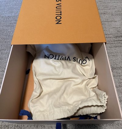 Louis Vuitton Lv Trainer Sneaker 8