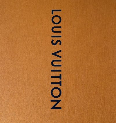 Louis Vuitton Men Sneaker