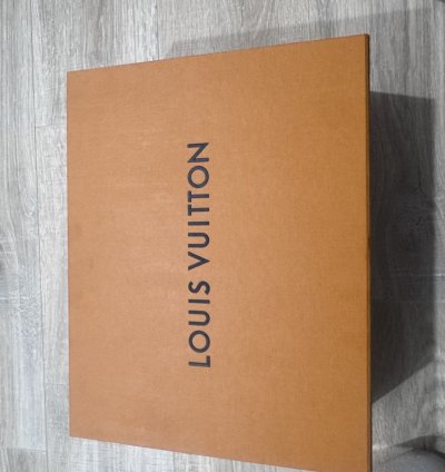 Louis Vuitton Mens Trainer