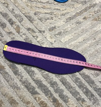 Louis Vuitton Metalic Purple Trainer