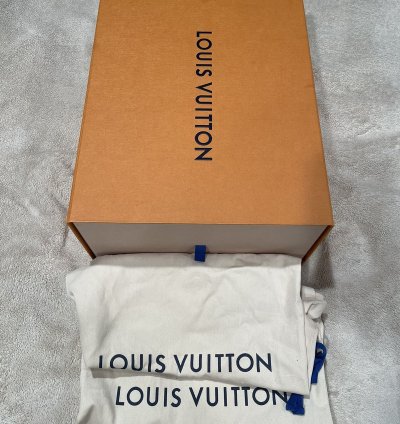 Louis Vuitton Mirror Silver Trainer Sneaker