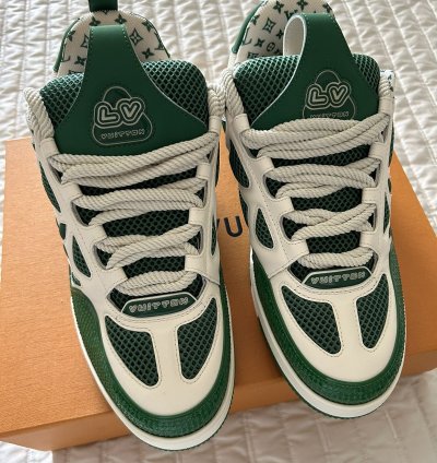 Louis Vuitton Monogram Skate Sneaker Shoe