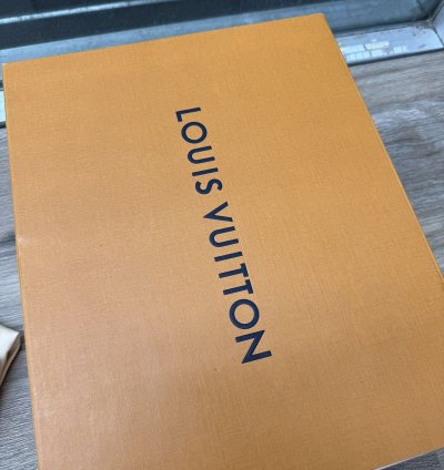 Louis Vuitton Runaway Runners