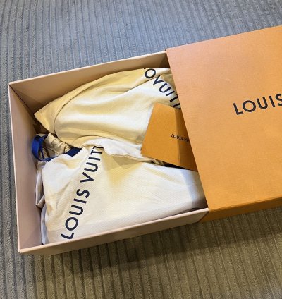 Louis Vuitton Skate Sneaker Green
