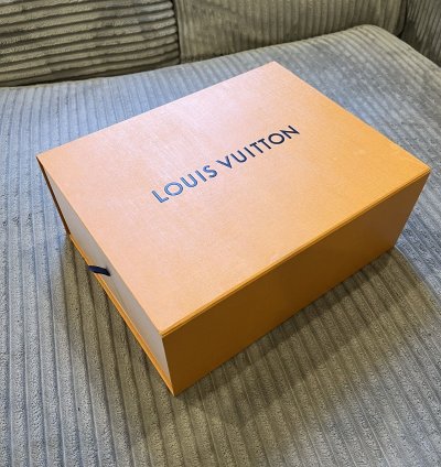 Louis Vuitton Skate Sneaker Green