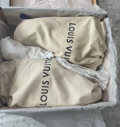 Louis Vuitton Skate Sneaker Lv8 Brand New