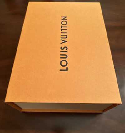 Louis Vuitton Skate Sneaker Marine