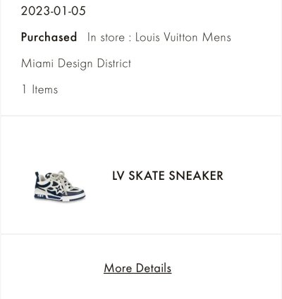 Louis Vuitton Skate Sneaker Marine
