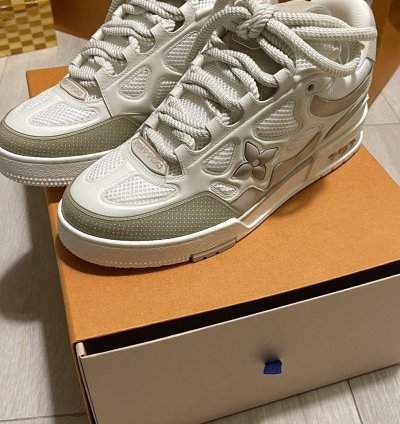 Louis Vuitton Skate Sneakers