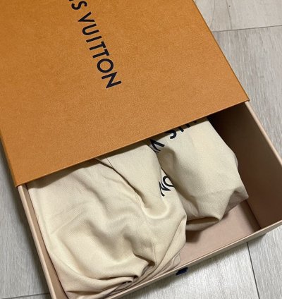 Louis Vuitton Skate Sneakers