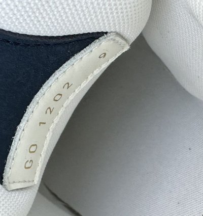 Louis Vuitton Skate Sneakers Blue