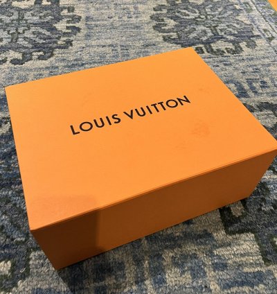 Louis Vuitton Skate Sneakers Fw22