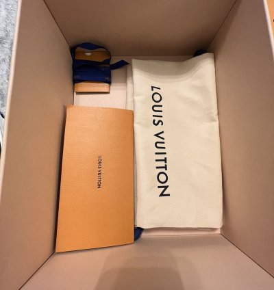 Louis Vuitton Skate Sneakers Marine