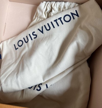 Louis Vuitton Skater Shoe Beige