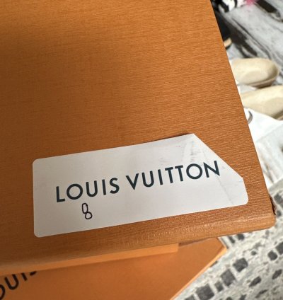 Louis Vuitton Skater Shoe Beige