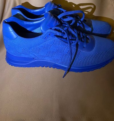 Louis Vuitton Sneakers Brand New