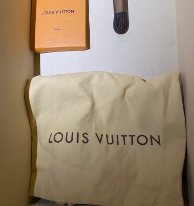 Louis Vuitton Sneakers Brand New