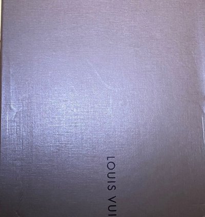 Louis Vuitton Sneakers Brand New