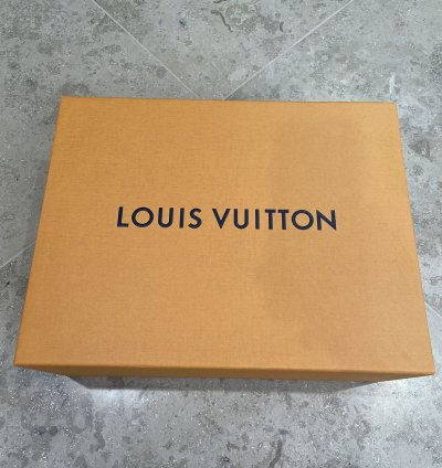 Louis Vuitton Tattoo Galaxy High Top Sneakers