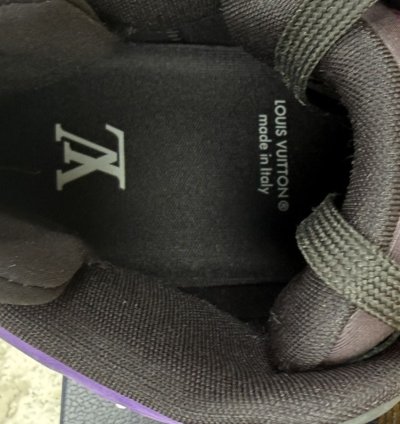 Louis Vuitton Trainer 2