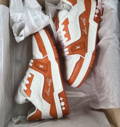 Louis Vuitton Trainer 54