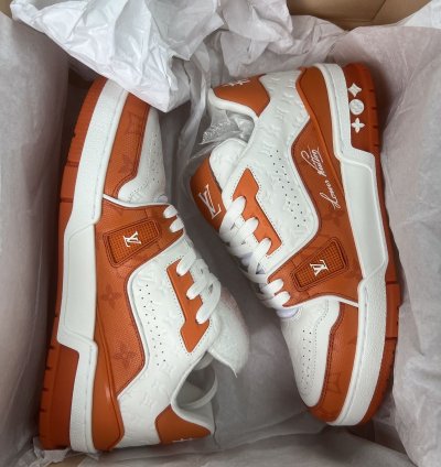 Louis Vuitton Trainer 54