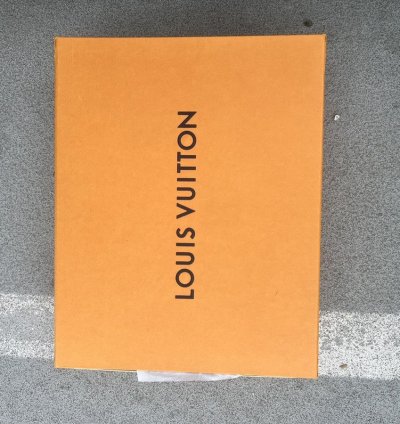 Louis Vuitton Trainer 54